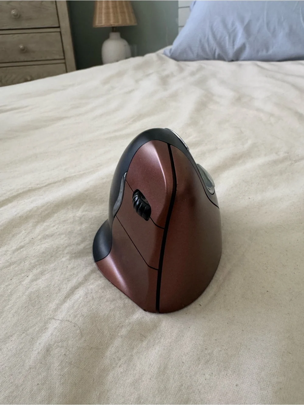 Evoluent Right-Hand Vertical Ergonomic Wireless USB Mouse
